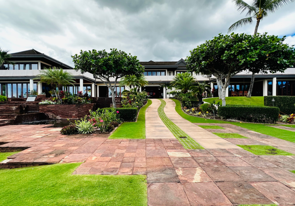 Coddington-bay-area-oakland-exterior-pool-maui-hawaii-interior-design-concrete-pavers-stone-tropical-entrance-driveway-palm-trees-nature
