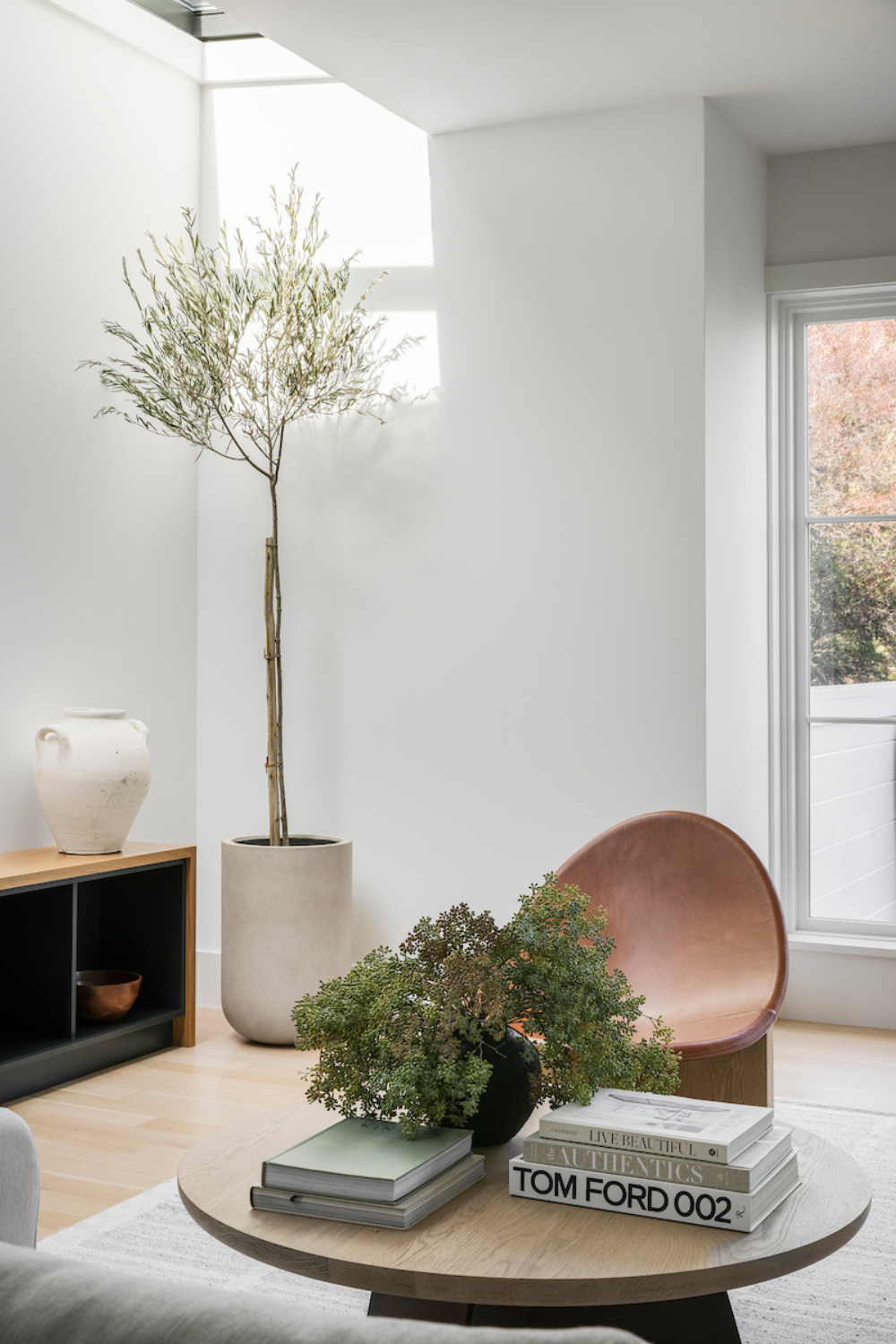 coddington-design-marina-ca-sculptural-plant-scandinavian-modern-living-room-clutter-free-home